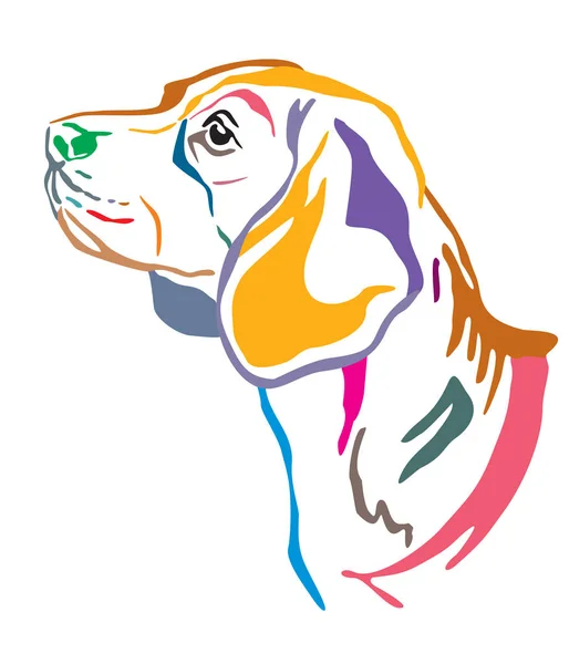 Bunte dekorative Portrait des Beagle Dog Vektor Illustration — Stockvektor