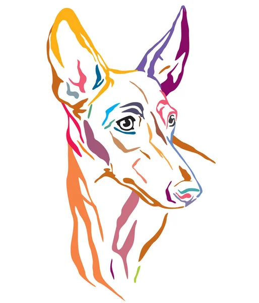 Kolorowy portret dekoracyjny Cirneco dell'Etna pies chory — Wektor stockowy