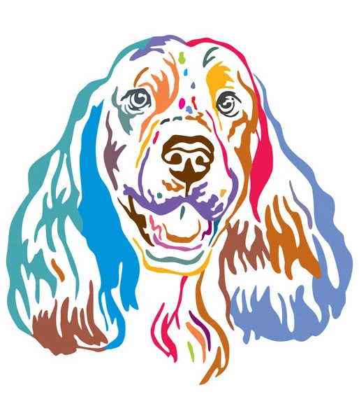 Colorful decorative portrait of Springer Spaniel Dog vector illu — Stock Vector