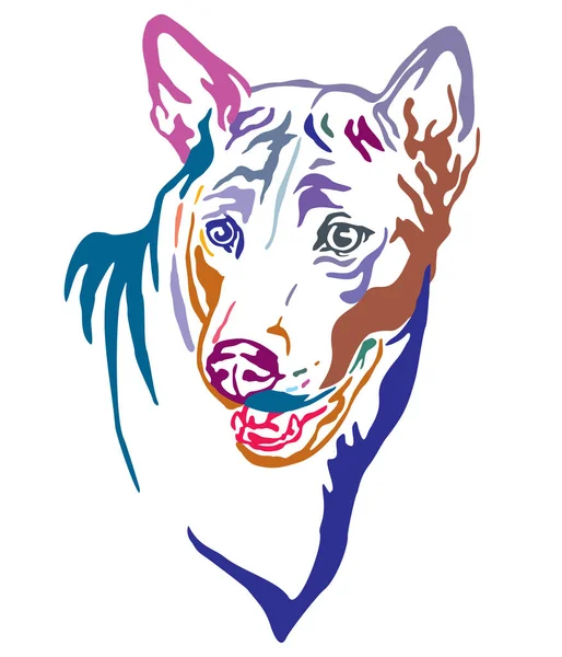 Retrato decorativo colorido de tailandês Ridgeback Dog vetor illust —  Vetores de Stock