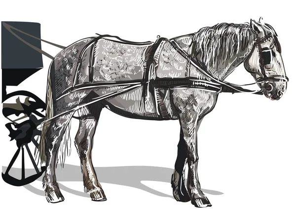 Arnés vector colorido caballo de dibujo a mano — Archivo Imágenes Vectoriales