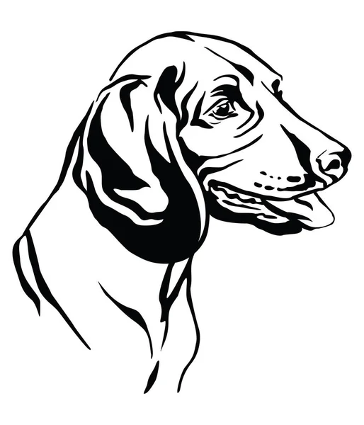 Retrato decorativo del vector Bavarian Mountain Hound illustrati — Archivo Imágenes Vectoriales