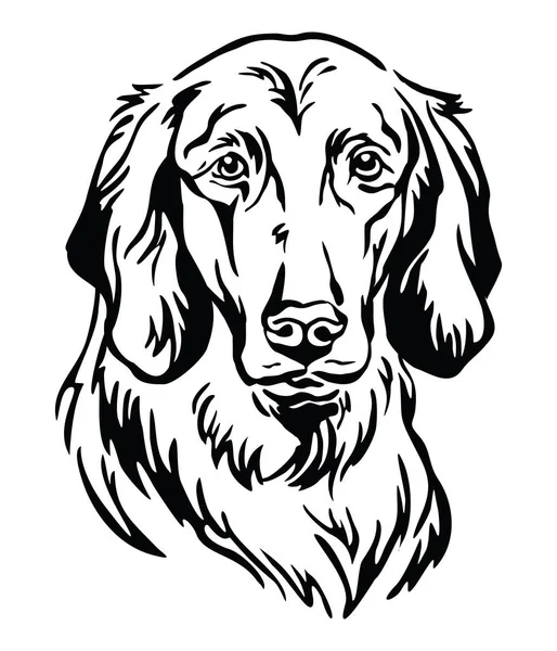 Dekorativní portréty Longhaired Weimaranerova vektorová ilustrace — Stockový vektor