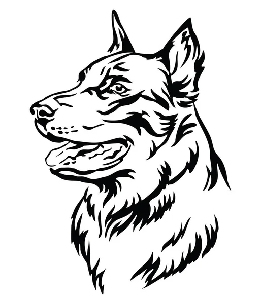 Portrait décoratif de Beauceron illustration vectorielle — Image vectorielle