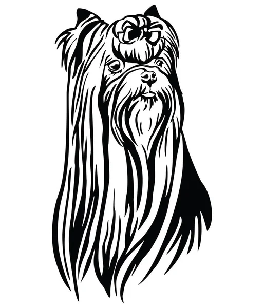 Dekoratives Porträt des Yorkshire Terrier Vektor Illustration — Stockvektor