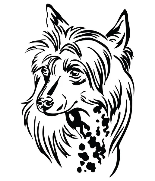Small Size Dogストックベクター ロイヤリティフリーsmall Size Dogイラスト ページ 2 Depositphotos