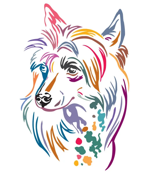 Retrato decorativo colorido de chinês Crested Dog vector illus —  Vetores de Stock