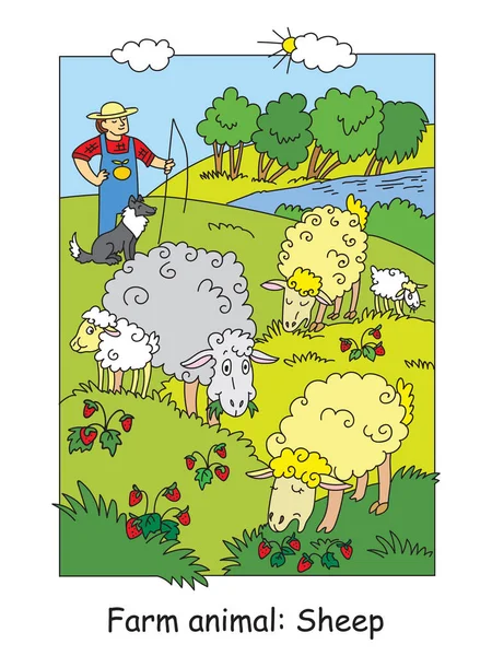 牧草地で放牧かわいい羊と彼の犬と羊飼いのページを着色します 漫画のベクターイラスト デザイン 就学前教育 ゲームのためのストックイラスト — ストックベクタ