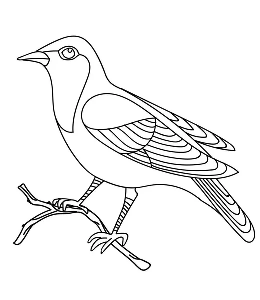 Vector Linha Arte Monocromática Canção Pássaro Rouxinol Sentado Ramo Ilustração —  Vetores de Stock