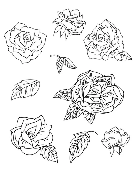 Florales Botanisches Set Mit Gezeichneten Linien Rosenblüten Und Blättern Vektormonochrom — Stockvektor
