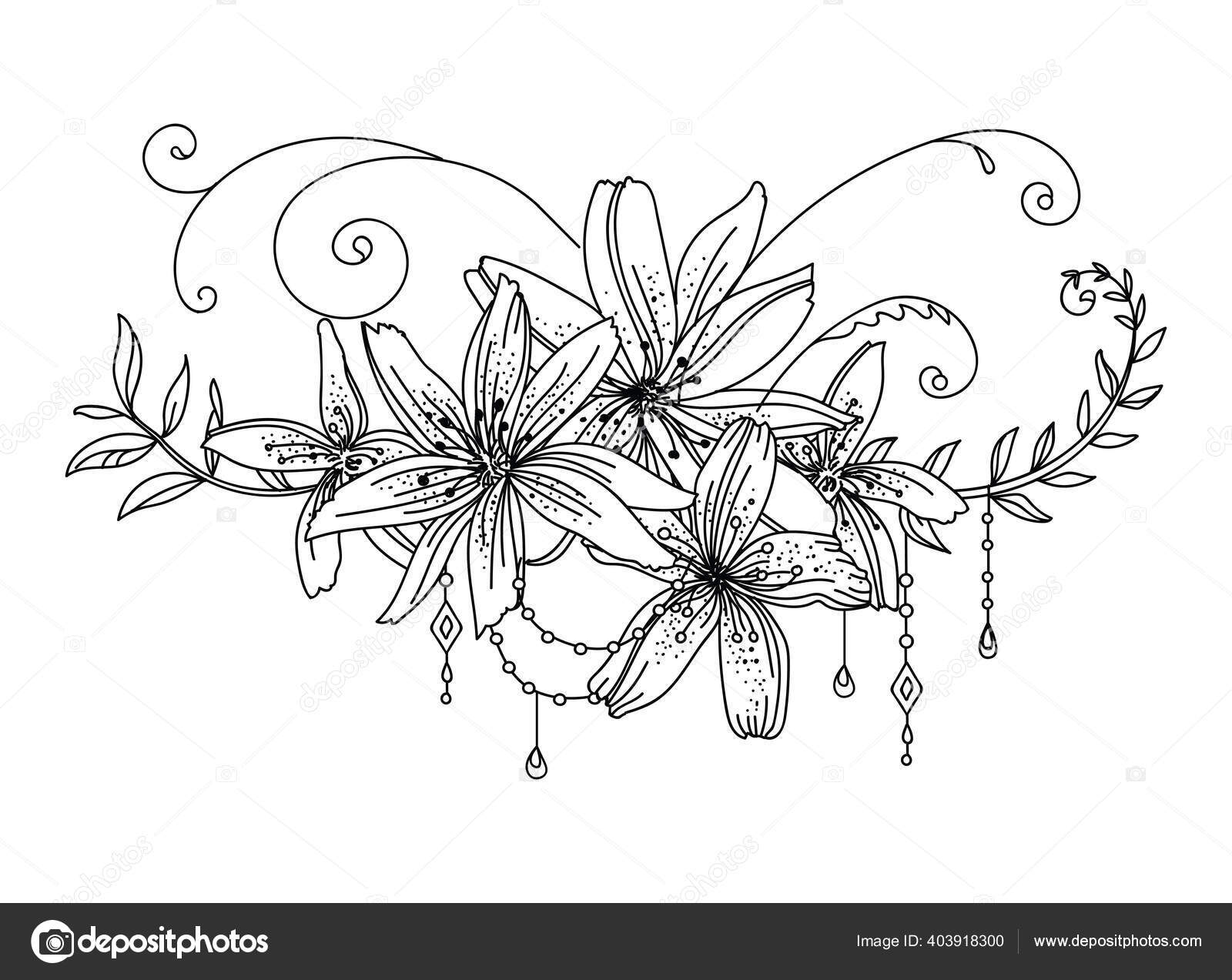 Floral Botanical Hand Drawn Line Art Decorative Lily Flowers Leaves Vector Image By C Alinart Vector Stock 403918300