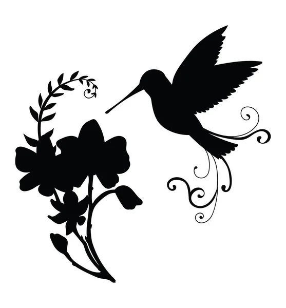 Vector Modelo Colibri Pássaro Flores Decorativas Ilustração Silhueta Preta Isolada —  Vetores de Stock