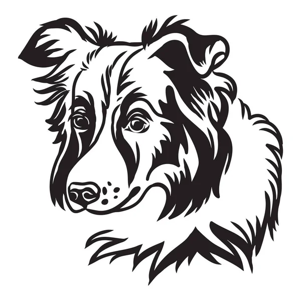 可爱的边境牧羊犬矢量的装饰轮廓肖像 用白色背景隔离的黑色表示 用于设计和纹身的孤立图像 — 图库矢量图片