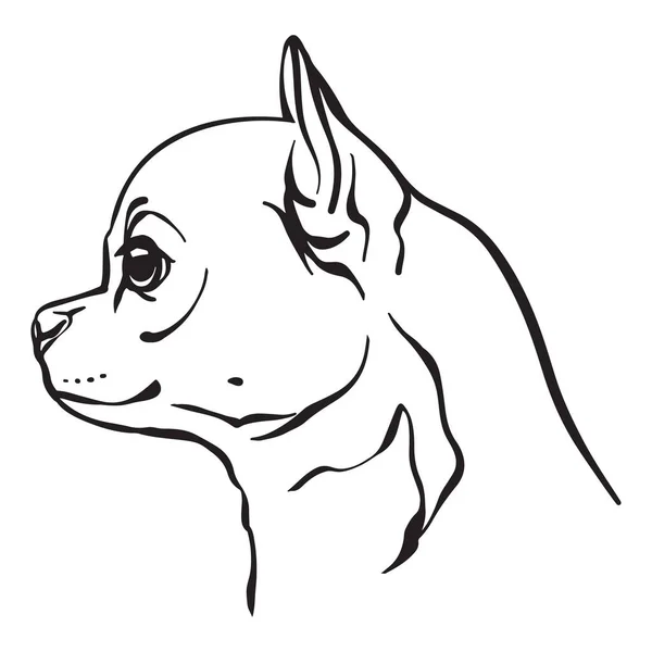 Decorative Outline Portrait Of Cute Chihuahua Dog Vector Illustration In Black Color Isolated On White Background Isolated Image For Design And Tattoo Stock Images Page Everypixel Decorative Outline Portrait Of Cute Chihuahua Dog Vector Illustration In Black Color Isolated On White Background Isolated Image For Design And Tattoo Stock Images Page Everypixel