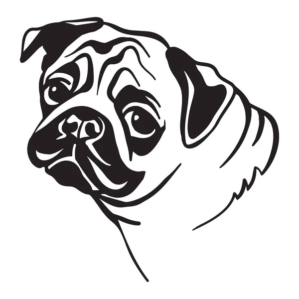 Esboço Decorativo Retrato Bonito Pug Cão Vetor Ilustração Cor Preta — Vetor de Stock