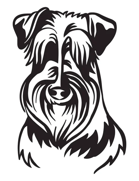 Esboço Decorativo Retrato Bonito Schnauzer Ilustração Vetor Cão Cor Preta —  Vetores de Stock