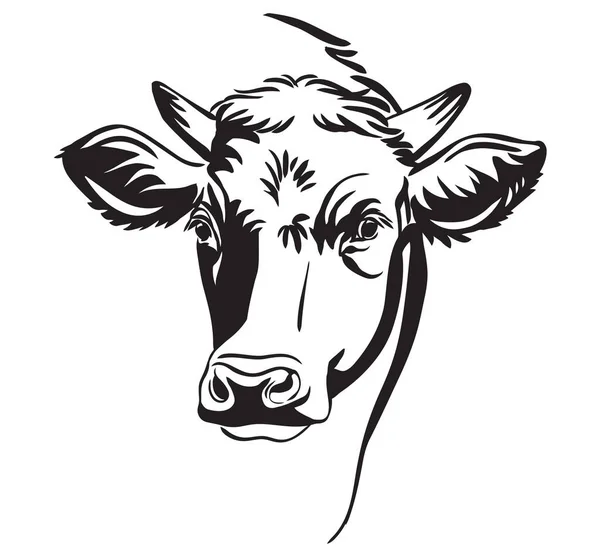 矢量中公牛的矢量抽象肖像 — 图库矢量图片