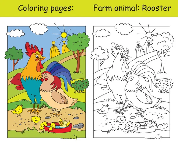 Kolorowanki Szczęśliwym Kogutem Kurą Kurczakami Łące Gospodarstwa Ilustracja Wektora Kreskówki — Wektor stockowy