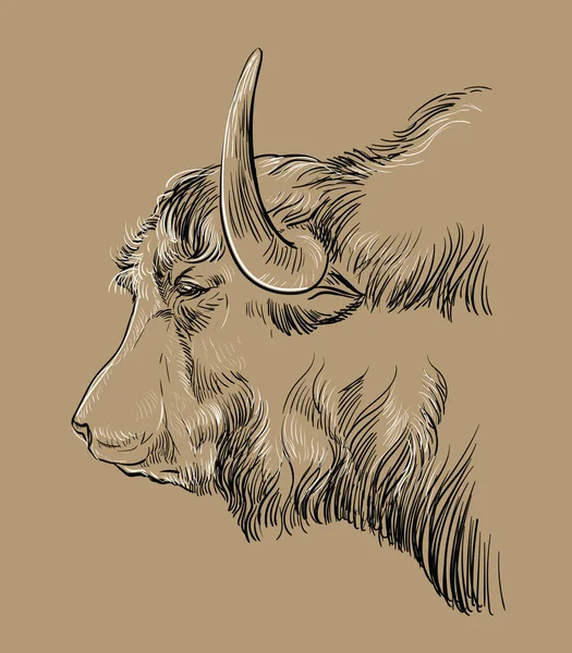 Cabeza de yak dibujo a mano ilustración marrón — Vector de stock
