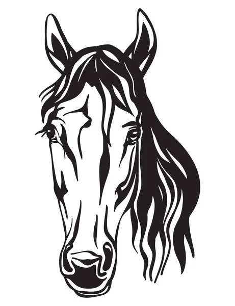 Beauty Portrait Horse Vector Illustration Black Color Isolated White Background — Stock Vector