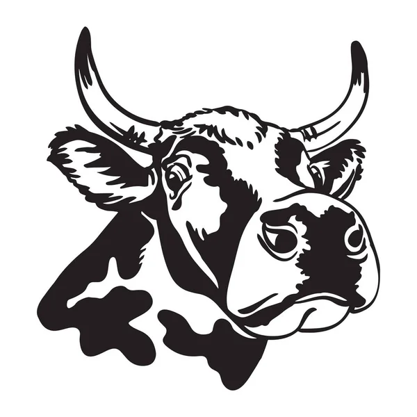 Portrait Décoratif Illustration Vectorielle Vache Tachetée Couleur Noire Isolée Sur — Image vectorielle