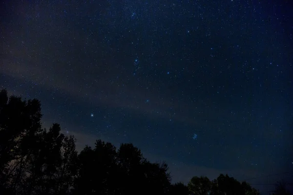 Noite Aldeia Estrelado Céu Sílhuetas Árvores Escuras Além — Fotografia de Stock