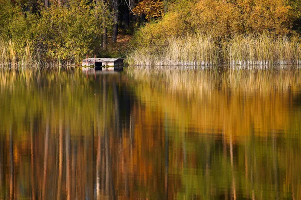 Podzimní Jezero Lese Odraz Vodě Žluté Podzimní Stromy — Stock fotografie