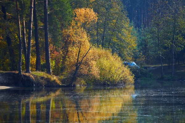 Podzimní Jezero Lese Odraz Vodě Žluté Podzimní Stromy — Stock fotografie