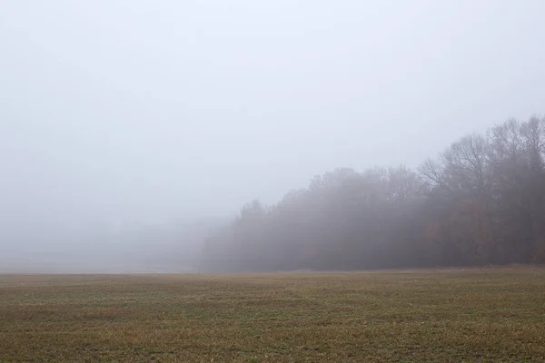 Herbstlicher Morgennebel Frisch Gepflügtes Feld Und Weit Bedeckter Himmel — Stockfoto