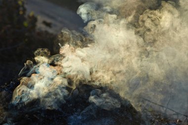 Güneş ışığı ışınları ile Bonfire duman olsa. Yanmış kuru sonbahar yaprakları.