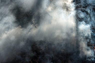 Yanan bahçenin üzerindeki dumanlı kuru yapraklar güneş ışınlarıyla birlikte..