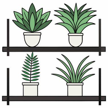 Bu resim, iki katmanlı küçük bir rafta sergilenen dört saksı bitkisinin basit ve renkli bir illüstrasyonudur. Bitkiler bej tencerelerde ve sade beyaz bir zemin üzerine kurulmuş çeşitli yeşillik tonlarına sahiptir. Biçim temiz ve çarpıcı, 