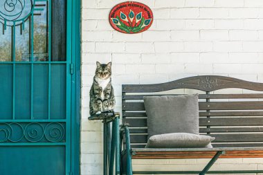 Beyaz tuğlalı bir evin verandasındaki kolunda turkuaz kapılı sevimli bir kedicik oturuyor. Pima County, Tucson, Arizona, ABD.