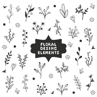 Yaprakları, büyük bir set çimenler ve şubeleri. Davetiyeleri, düğün, kartpostallar, tatil, tasarım yazdırılan ürünleri için idealdir. Vektör çizim, arka plan. Evrensel çiçek öğeleri.