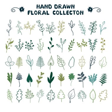 Yaprakları, büyük bir set çimenler ve şubeleri. Davetiyeleri, düğün, kartpostallar, tatil, tasarım yazdırılan ürünleri için idealdir. Vektör çizim, arka plan. Evrensel çiçek öğeleri.