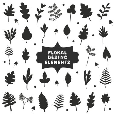 Yaprakları, büyük bir set çimenler ve şubeleri. Davetiyeleri, düğün, kartpostallar, tatil, tasarım yazdırılan ürünleri için idealdir. Vektör çizim, arka plan. Evrensel çiçek öğeleri.