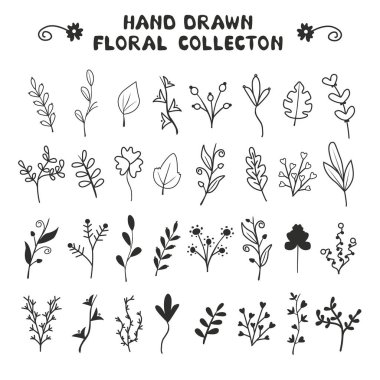 Yaprakları, büyük bir set çimenler ve şubeleri. Davetiyeleri, düğün, kartpostallar, tatil, tasarım yazdırılan ürünleri için idealdir. Vektör çizim, arka plan. Evrensel çiçek öğeleri.