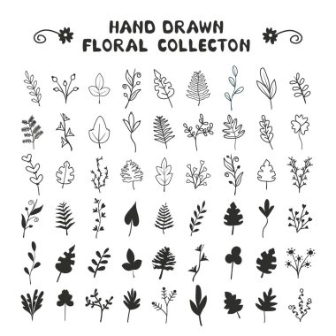 Yaprakları, büyük bir set çimenler ve şubeleri. Davetiyeleri, düğün, kartpostallar, tatil, tasarım yazdırılan ürünleri için idealdir. Vektör çizim, arka plan. Evrensel çiçek öğeleri.