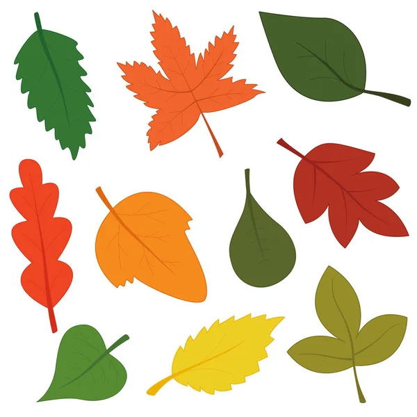 Hello, Autumn. Colorful background for design in a flat style for printing. Web banner with a pattern of vector leaves in orange, yellow, green, red. September October November.