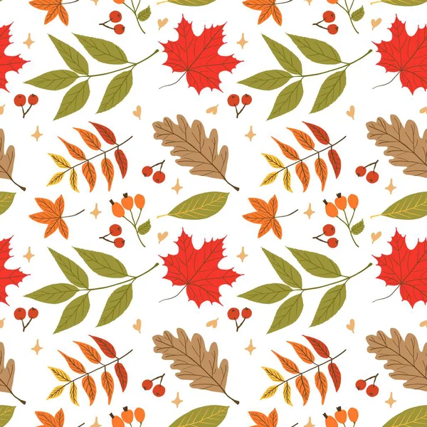 Akçaağaç, meşe, kestane, ve rowan yaprakları kırmızı, turuncu, yeşil ve kahverengidir. Mevsimsel baskılar, ambalajlar ve kırtasiye malzemeleri için ideal yumuşak aksanlı el yapımı düz tasarım..