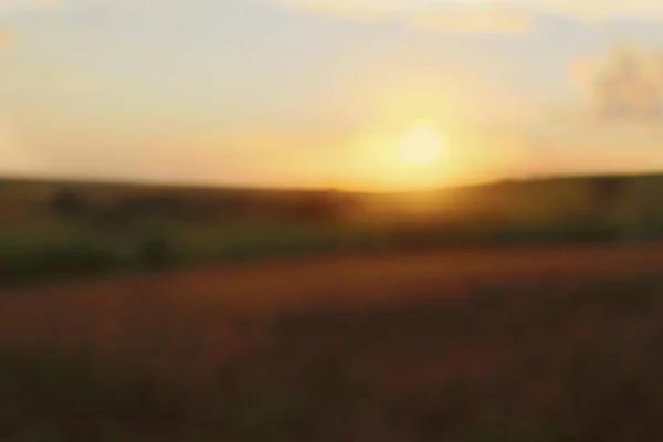 Fondo Bokeh Plantación Atardecer Campo Borroso Abstracti —  Fotos de Stock