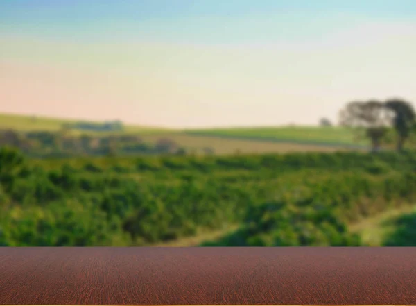 Mesa Madera Vacía Con Vista Plantación Café Escritorio Madera Con —  Fotos de Stock