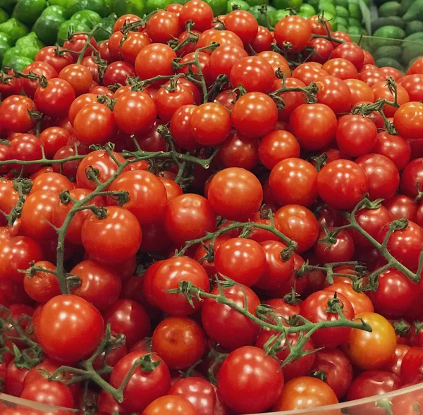 Bakkalda domates linegin — Stok fotoğraf