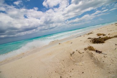 Cancun'dan deniz ve kum dokusu