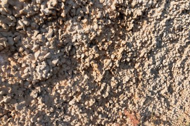 Taş çimento sıçrama doku arka plan