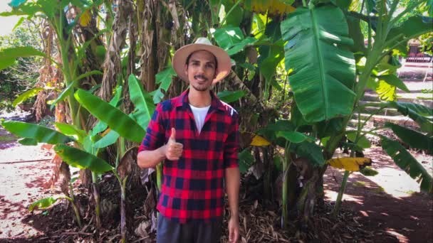 Bir Muz Ağacı Alanı Yanında Şapka Ile Çiftçi — Stok video