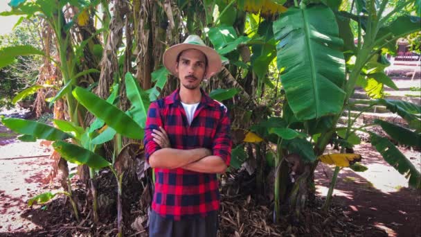 Αγρότης Καπέλο Δίπλα Ένα Χωράφι Μπανανόδεντρο — Αρχείο Βίντεο