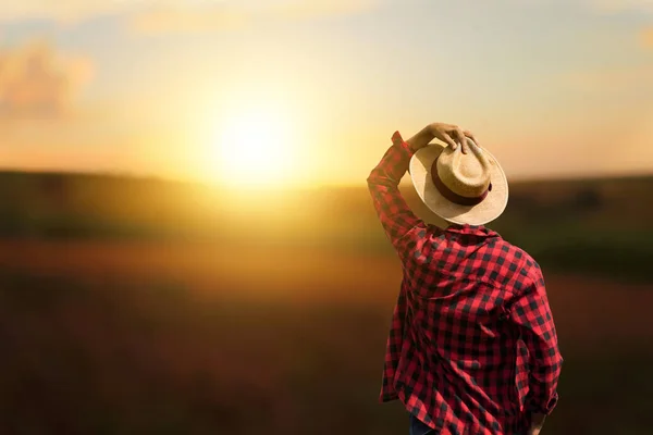 Фермер на заході сонця на відкритому повітрі — стокове фото