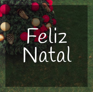 Noel ağacında Portekizce yazılmış mutlu noeller.
