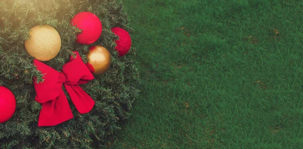 Jul bakgrund med xmas träd på gräs. — Stockfoto